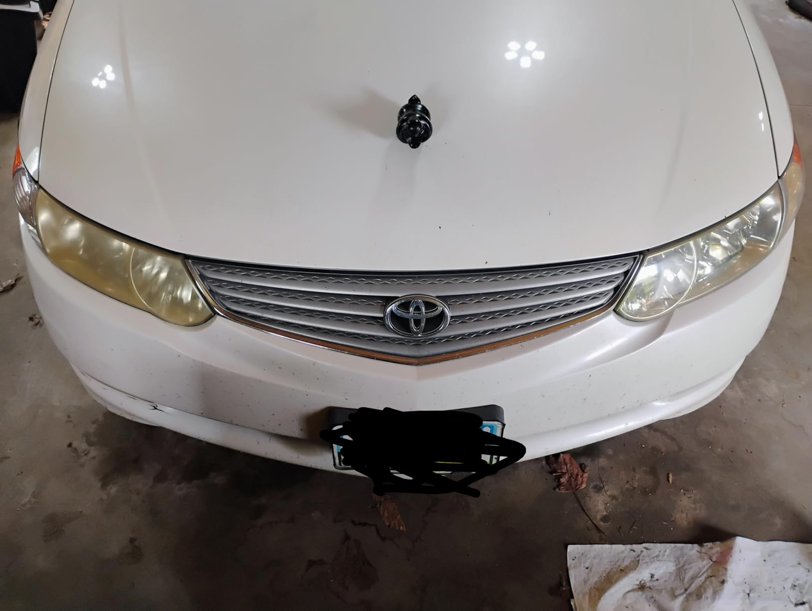 Formula 1 Headlight Restorer & Sealant - One Step Polish to Clean & Renew Yellowed Headlights, Windscreens, or Exterior Plastics (8 oz.) customer photo 2