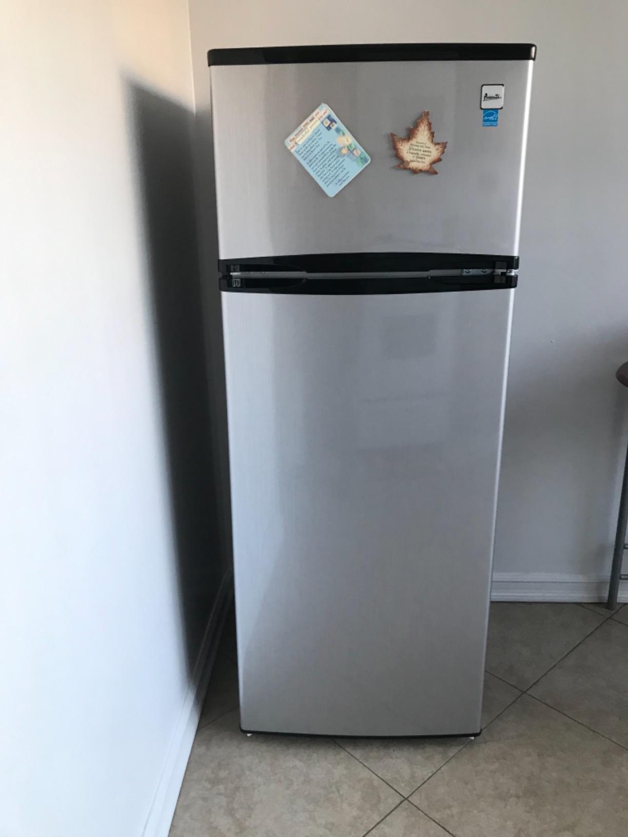 Avanti Apartment Size Refrigerator Frost-Free Defrost with Top Freezer Adjustable Glass Shelves LED Lighting Reversible Door 10.0 Cu. Ft., in Stainless Steel customer photo 1