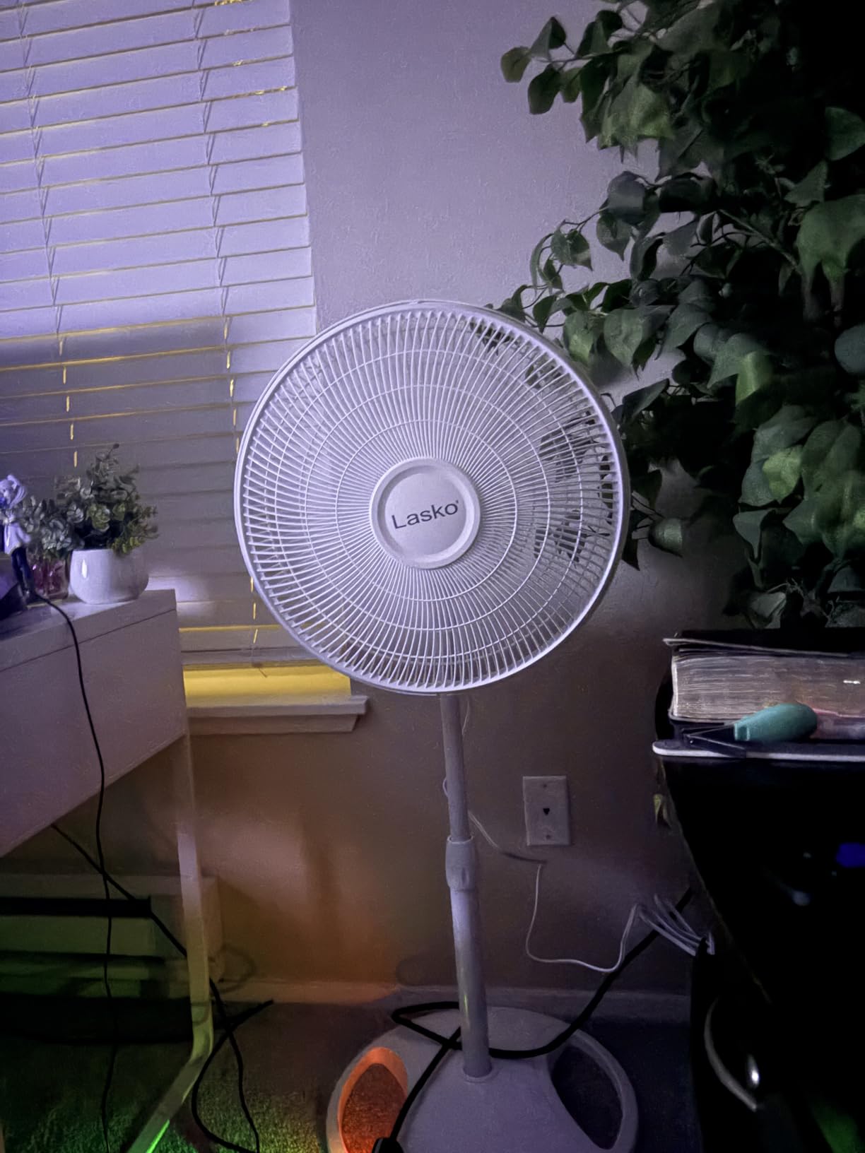 Lasko 2520 Oscillating Stand Fan, White, 16 Inch customer photo 1
