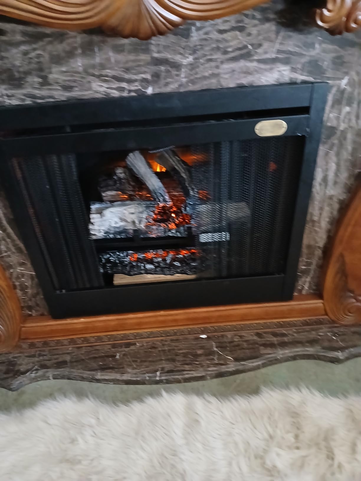 Napoleon Woodland 27 - NEFI27H - Electric Log Set, Electric Fireplace, 27-in, Hand Painted Realistic Logs, High Intensity LED Lights, Realistic Fire, Glowing Logs, Fireplace Insert, Remote Included customer photo 1