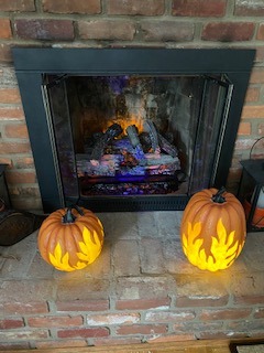Napoleon Woodland 27 - NEFI27H - Electric Log Set, Electric Fireplace, 27-in, Hand Painted Realistic Logs, High Intensity LED Lights, Realistic Fire, Glowing Logs, Fireplace Insert, Remote Included customer photo 2