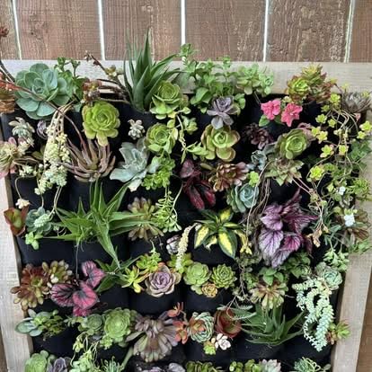 Ogrmar 36 Pockets Vertical Wall Garden Planter Plant Grow Bag for Flower Vegetable for Indoor/Outdoor (36 Pockets, Black) customer photo 1