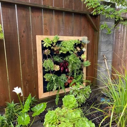 Ogrmar 36 Pockets Vertical Wall Garden Planter Plant Grow Bag for Flower Vegetable for Indoor/Outdoor (36 Pockets, Black) customer photo 2