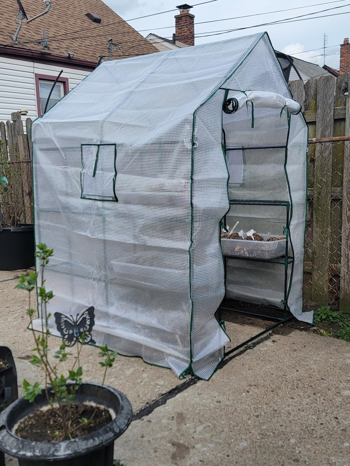 Mini Greenhouse,Greenhouses for Outdoors,Portable Walk in Green House for Garden Plants that Need Frost Protection and Away from Animals(56