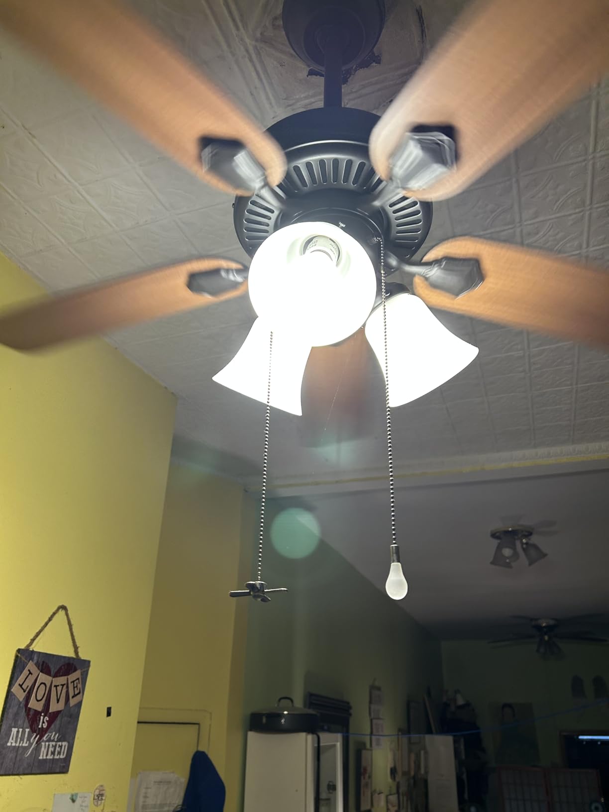 Hunter 52 inch Indoor Ceiling Fan with LED Lights - White Ceiling Fan with Pull Chain, For Bedroom, Living Room, or Kitchen, Standard Mount, No Remote, 5 Blades - Swanson 50895, Fresh White customer photo 2