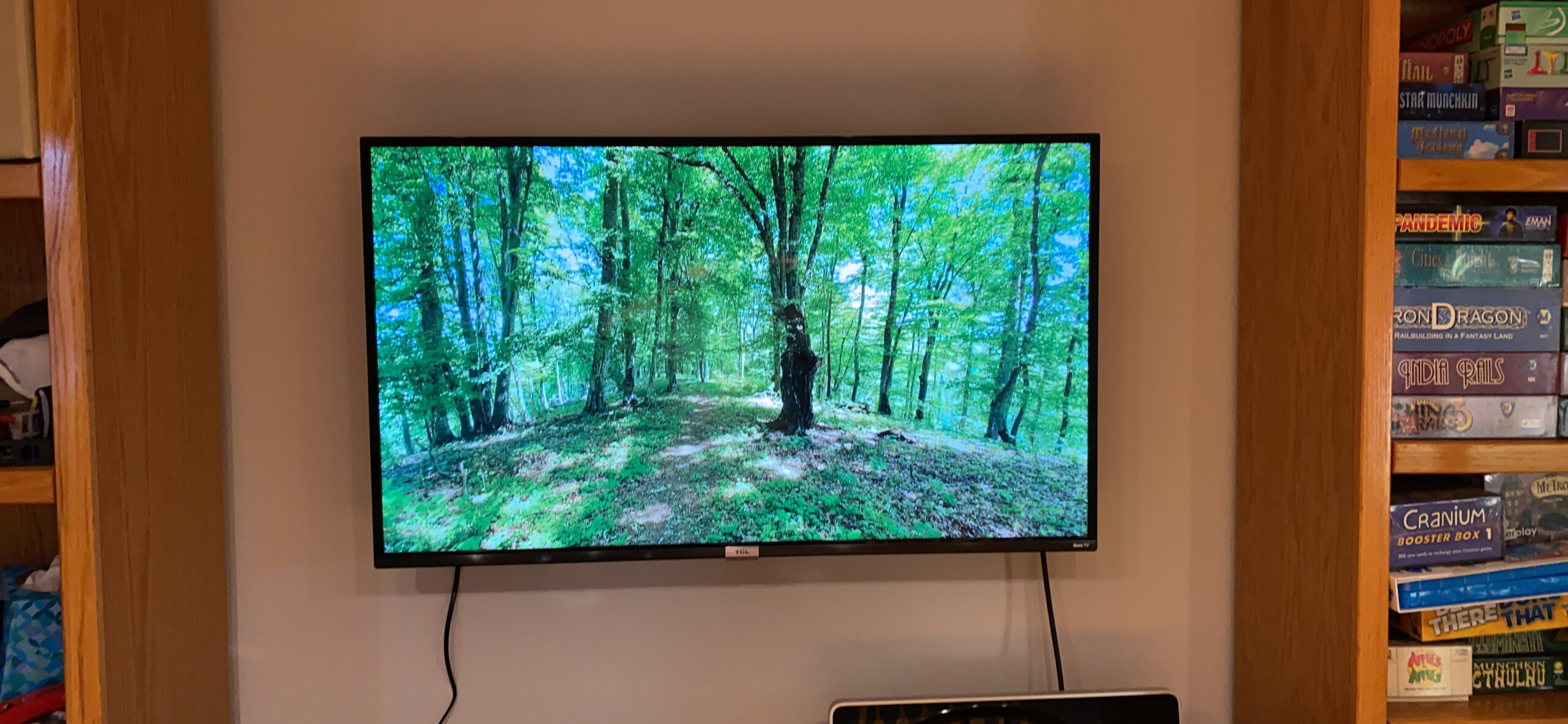 Roku 55