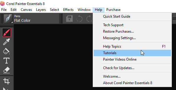 Corel Painter Essentials 8 | Beginner Digital Painting Software | Drawing & Photo Art [PC Key Card] customer photo 2