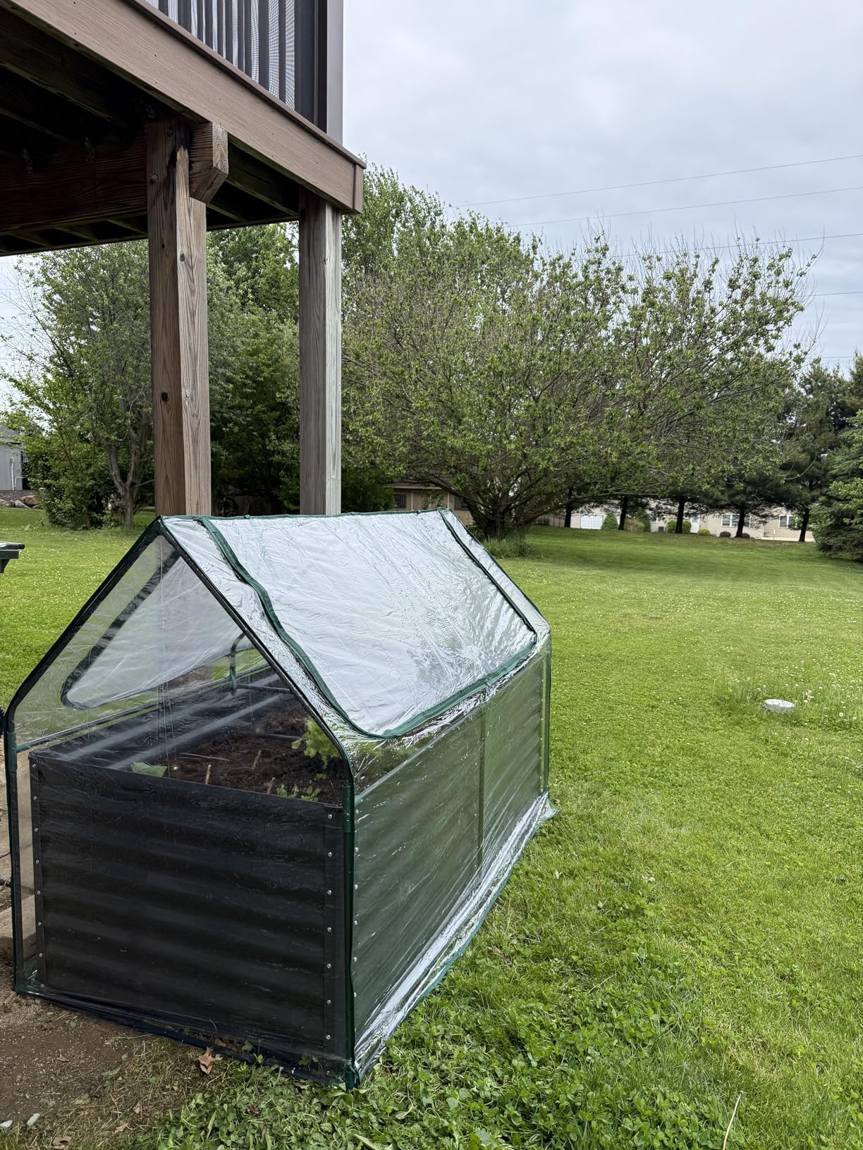 Quictent Raised Garden Bed with Cover Outdoor Galvanized Metal Planter Box Kit, w/ 2 Large Screen Windows Mini Greenhouse 20pcs T Tags 1 Pair of Gloves Included for Growing Vegetables 6x3x1ft (Clear) customer photo 1