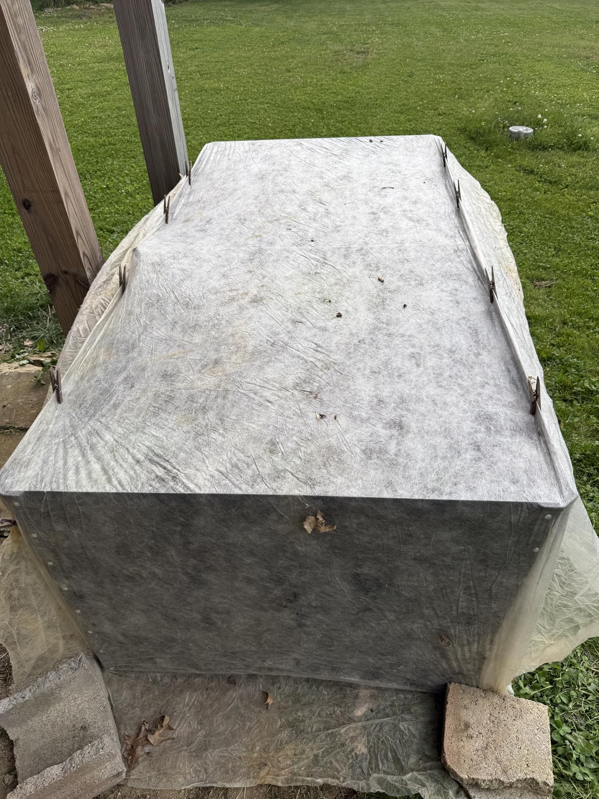 Quictent Raised Garden Bed with Cover Outdoor Galvanized Metal Planter Box Kit, w/ 2 Large Screen Windows Mini Greenhouse 20pcs T Tags 1 Pair of Gloves Included for Growing Vegetables 6x3x1ft (Clear) customer photo 2