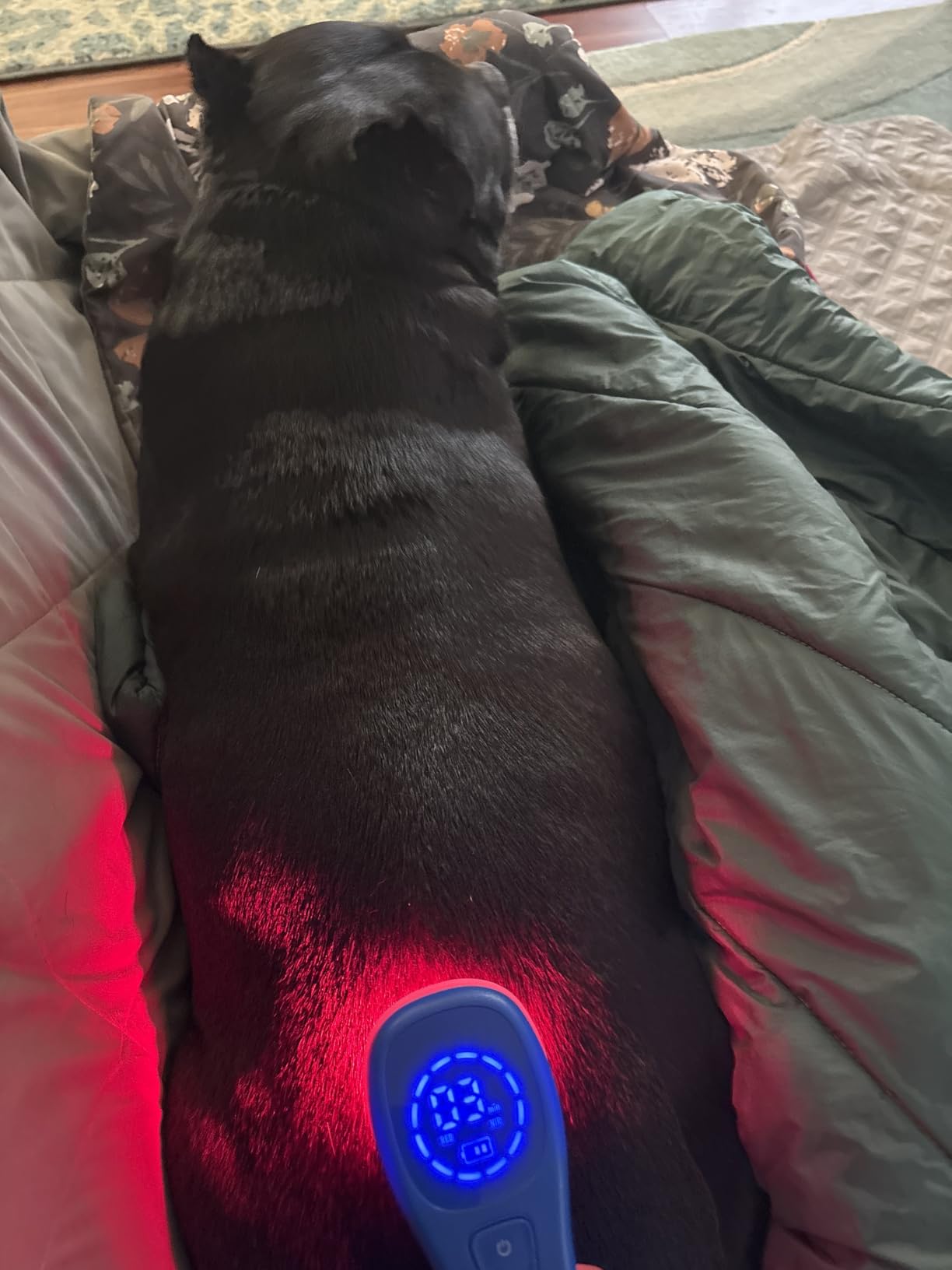 DEEP RED/NIR Plus - Shine Relief - Red & Near Infrared Light Therapy Device 660nm & 850nm for Skin Health, Joint Pain Relief & Deep Tissue Muscle Recovery | All-in-One Professional Device for Home Use customer photo 1
