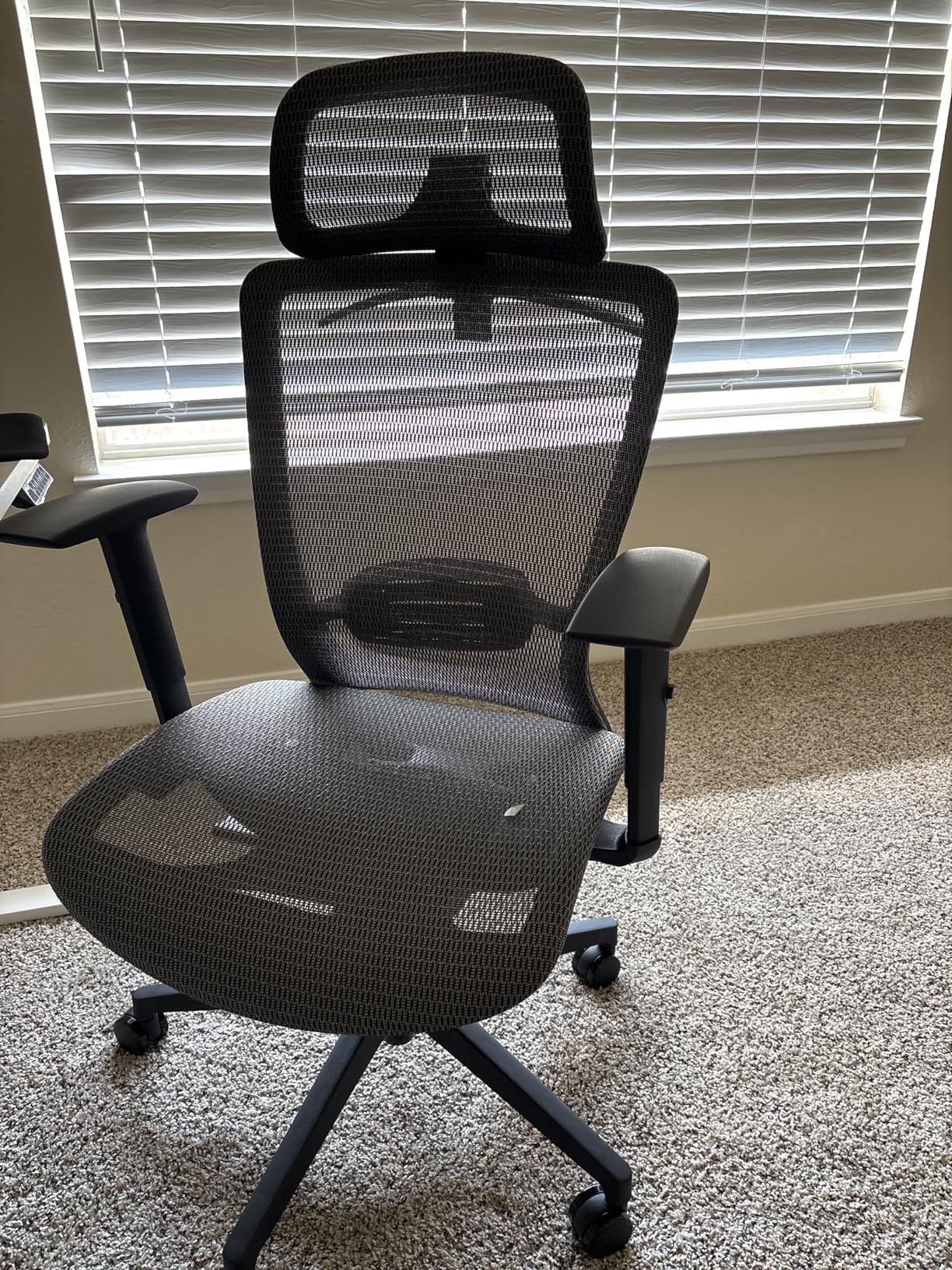 FLEXISPOT Ergonomic Office Chair High Back Mesh Swivel Computer Chair Home Office Desk Chairs with Wheels Lumbar Support Deep Black customer photo 1