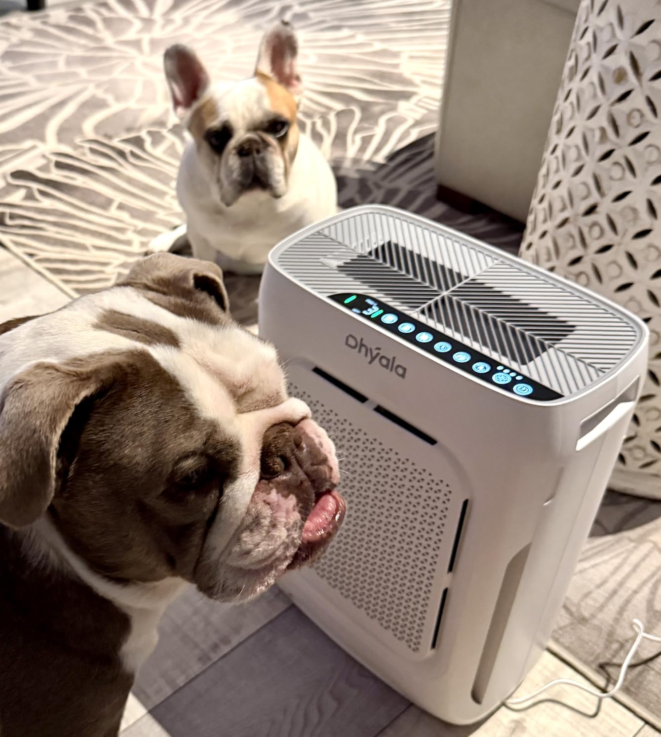 Frigidaire FHSC102WB1 10,000 BTU Casement Window Air Conditioner customer photo 1