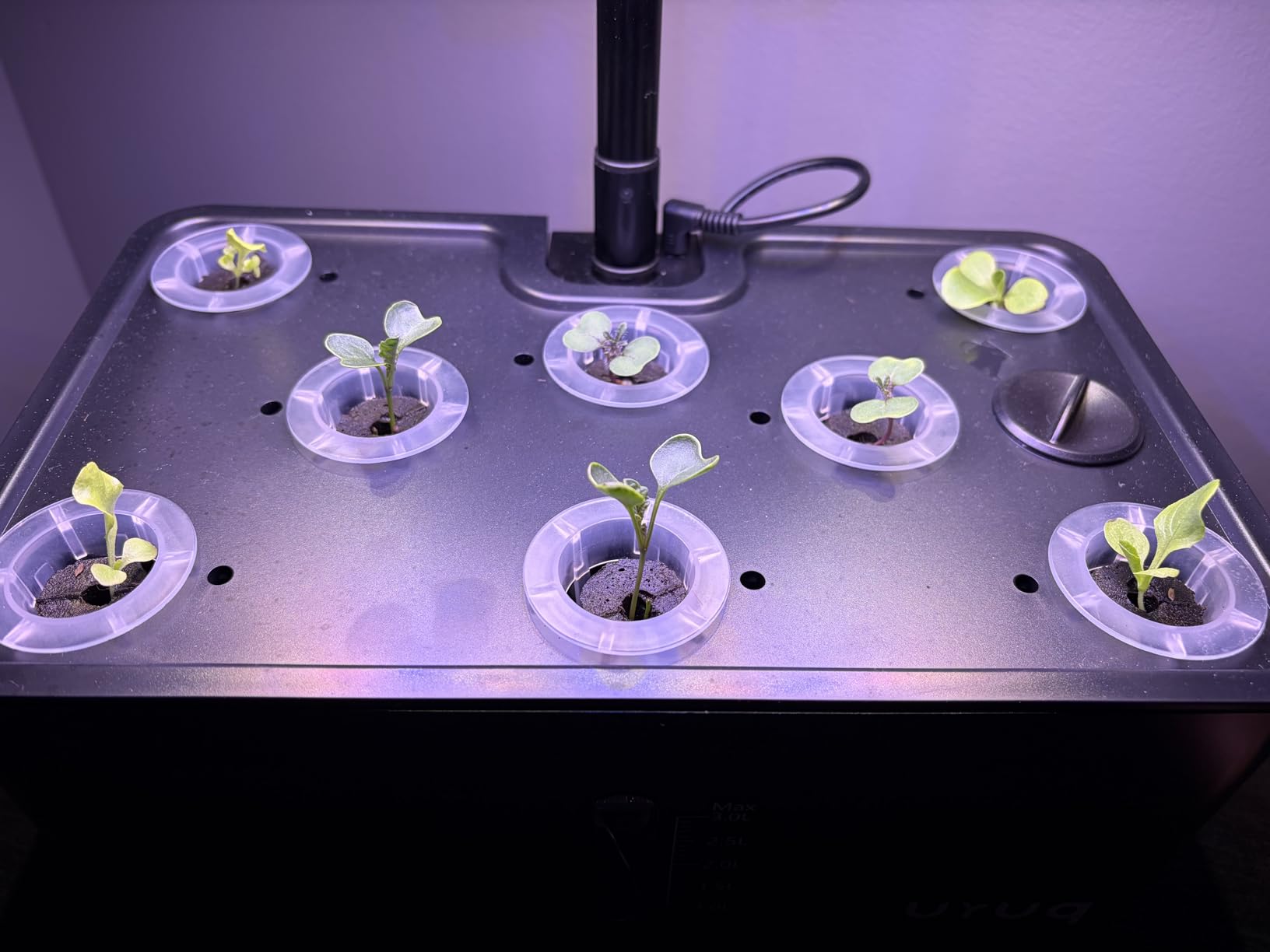 Hydroponics Growing System Indoor Garden: 8 Pods Herb Garden Kit Indoor with LED Grow Light Quiet Smart Water Pump Automatic Timer Healthy Fresh Herbs Vegetables customer photo 2