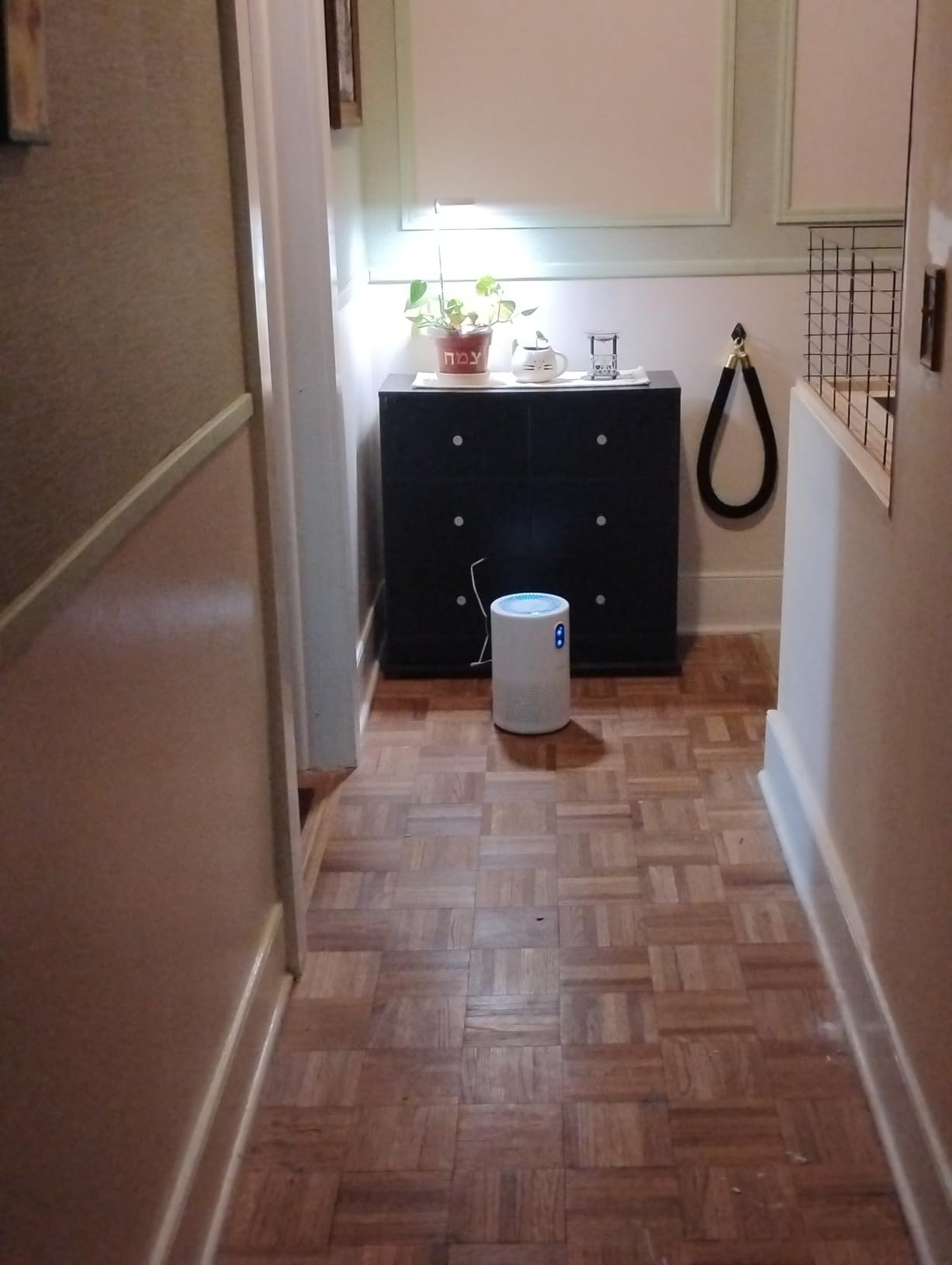 MOOKA Air Purifiers for Home Large Room up to 1076 ft², H13 True HEPA Air Filter Cleaner, Odor Eliminator, Remove Smoke Dust Pollen Pet Dander, Night Light, B-D02L Black customer photo 2
