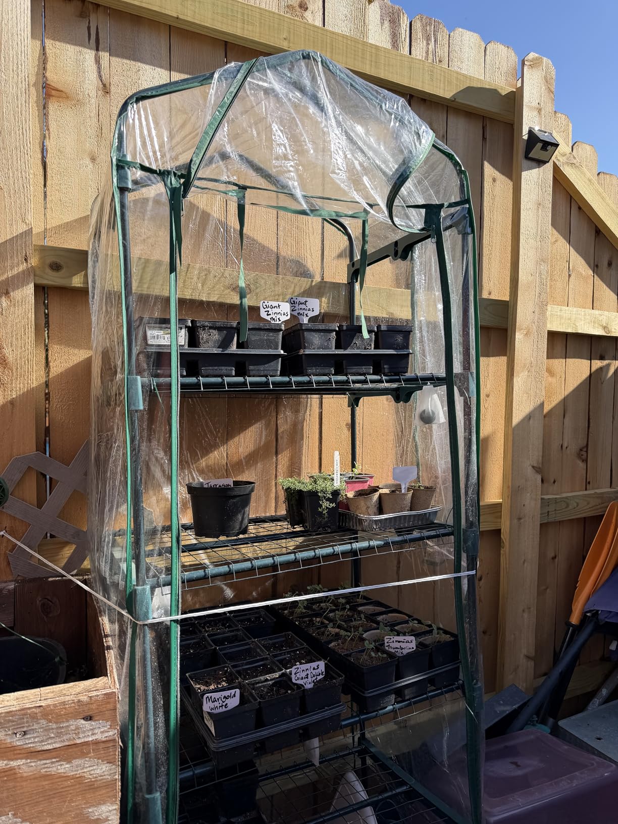 KOL 27 x 19 x 63-Inch 4 Tier Mini Greenhouse with PVC Cover for Indoor Outdoor, Portable Small Green House, Seed Starter Plant Stand for Apartment Balcony Patio, Orchid Winter Frost Protection customer photo 1