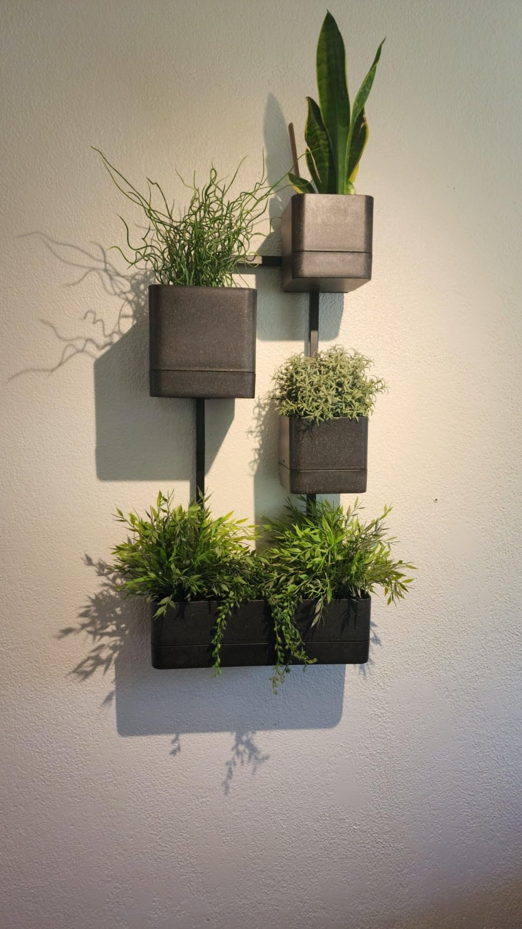 Umbra Cubiko Wall Planter with 4 Lightweight and Durable Pots (Black) customer photo 2
