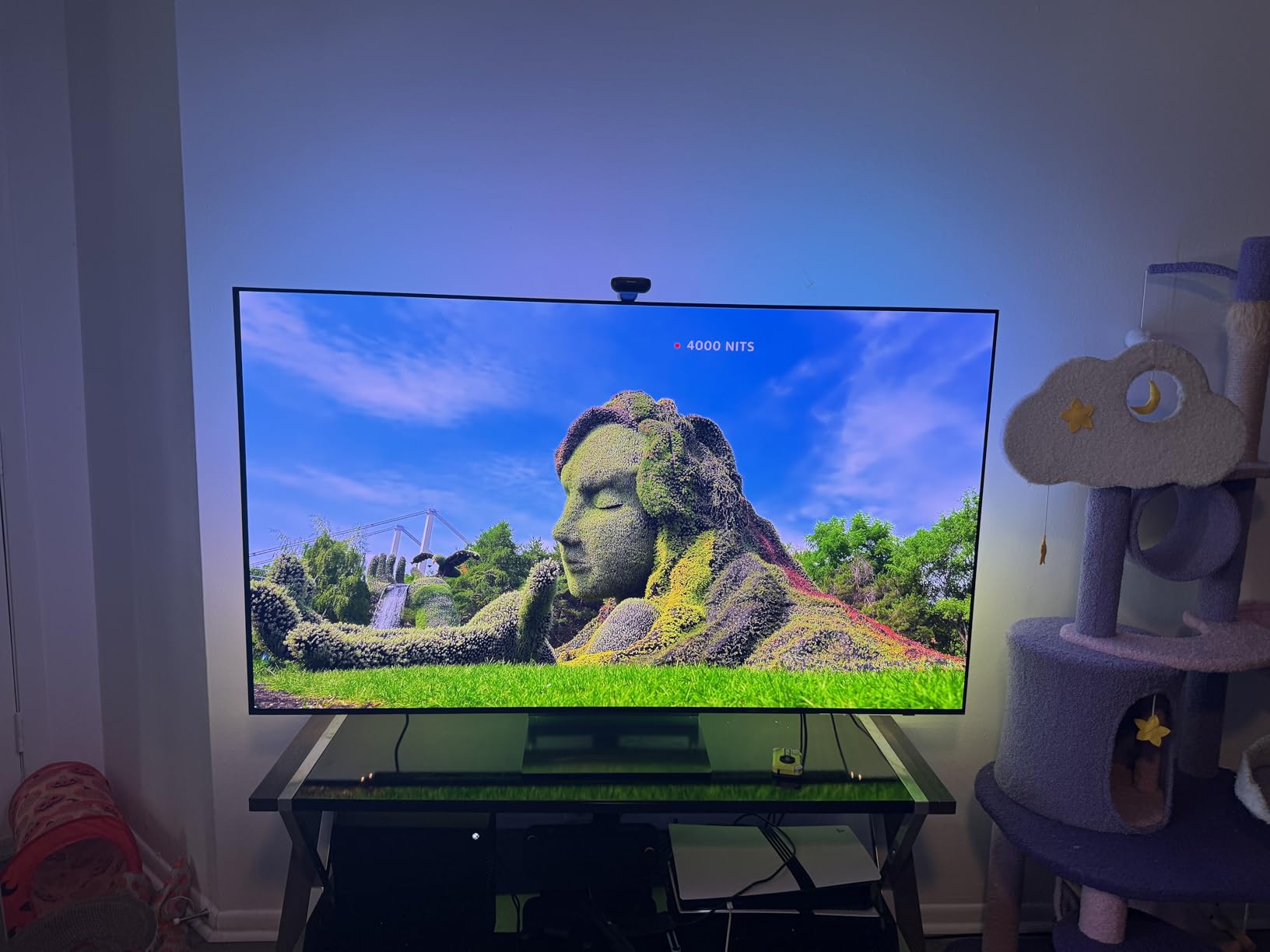 SAMSUNG 65-Inch Class OLED 4K S90D Series HDR+ Smart TV w/Dolby Atmos, Object Tracking Sound Lite, Motion Xcelerator, Real Depth Enhancer, 4K AI Upscaling, Alexa Built-in (QN65S90D, 2024 Model) customer photo 2