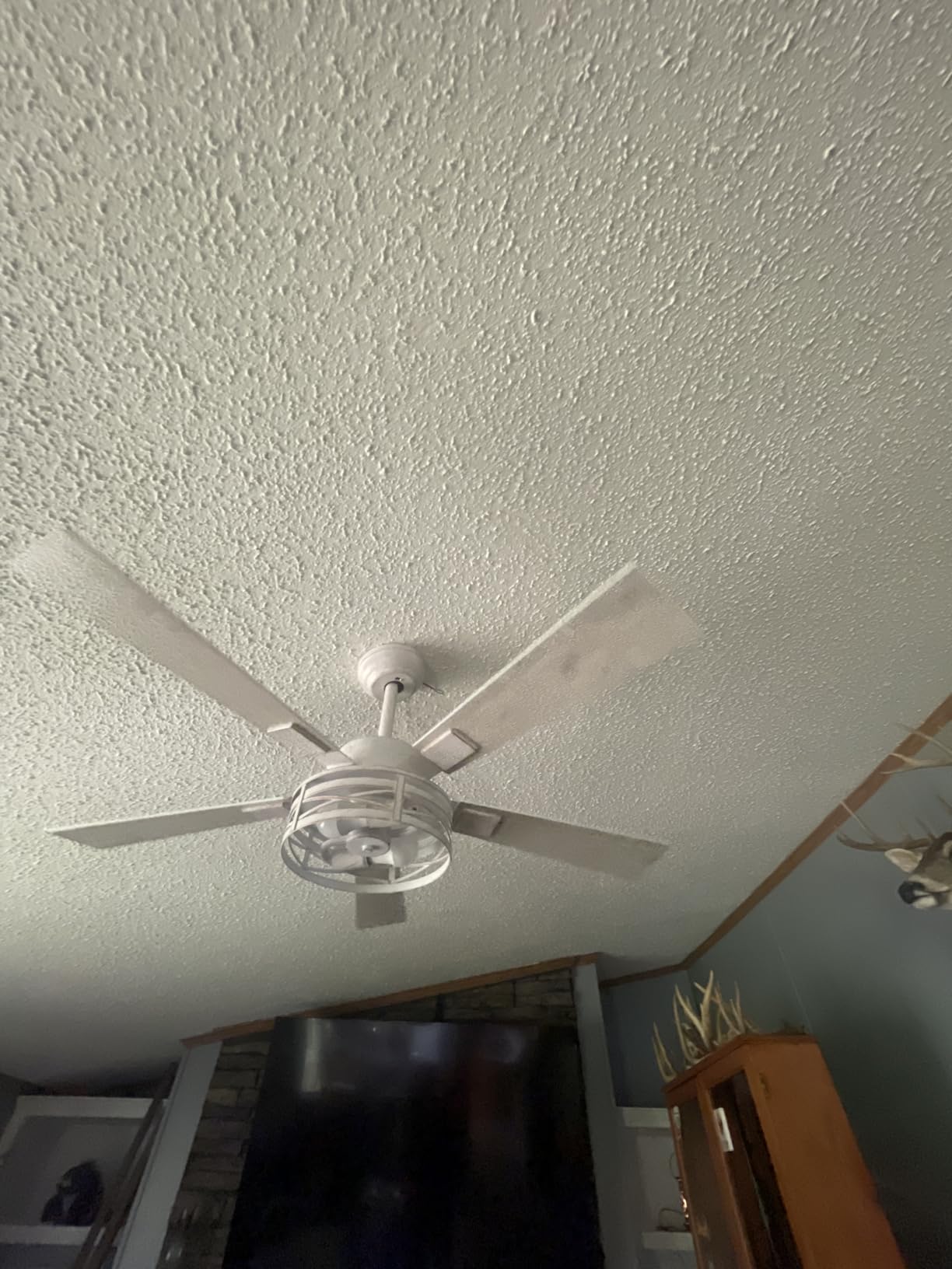 Fanbulous Farmhouse Ceiling Fans with Light, 48 Inch Bedroom Ceiling Fan with Lights, 6-Speed Adjustable, Quiet and Reversible DC Motor, Dual Finish 5 Blades, Rustic Caged Ceiling Fan for Living Room customer photo 1