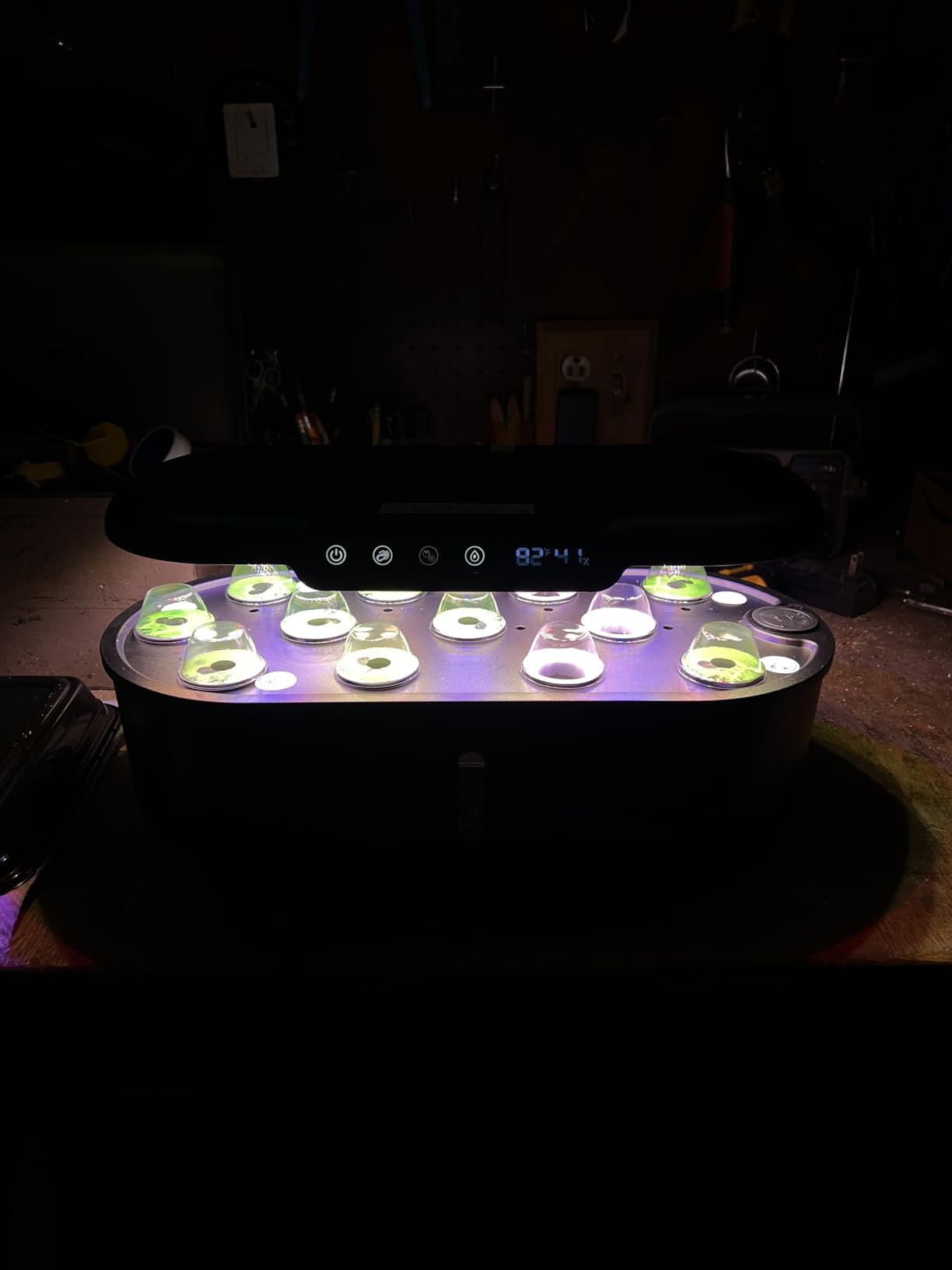 Ahopegarden Hydroponics Growing System kit: 12 Pods Indoor Herb Garden with Smart Environmental Detection - Full Spectrum LED Grow Light for Growing Vegetables, Herbs and Lettuce customer photo 1