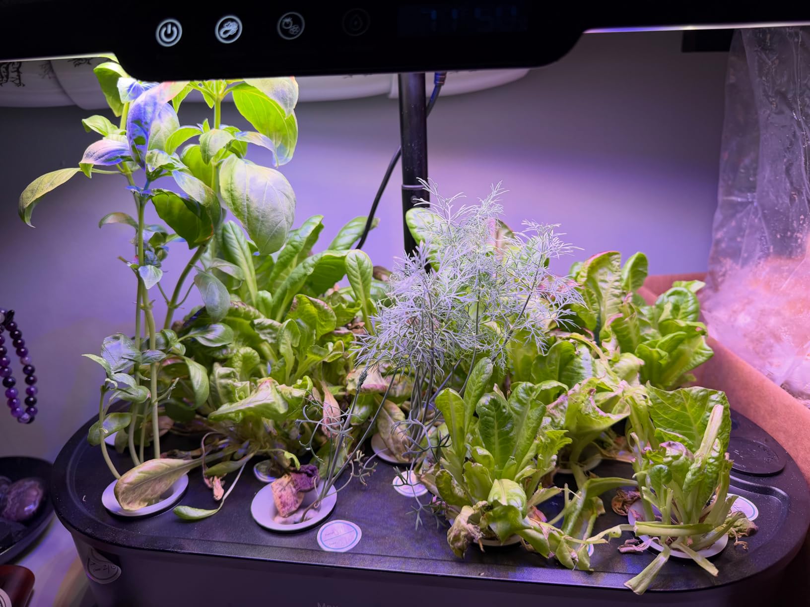Ahopegarden Hydroponics Growing System kit: 12 Pods Indoor Herb Garden with Smart Environmental Detection - Full Spectrum LED Grow Light for Growing Vegetables, Herbs and Lettuce customer photo 2