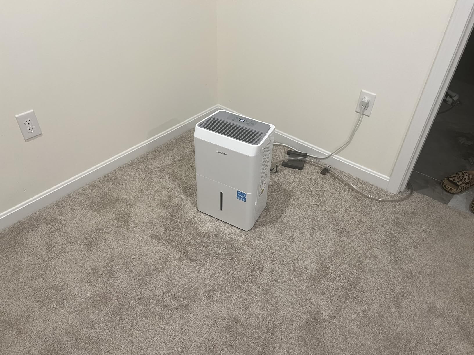 6000 Sq.Ft Energy Star Dehumidifier for Basement & Home, 120 Pint/Day with Drain Hose & Tank, Ultra Quiet (40 dB), Smart Auto Comfort Mode customer photo 1