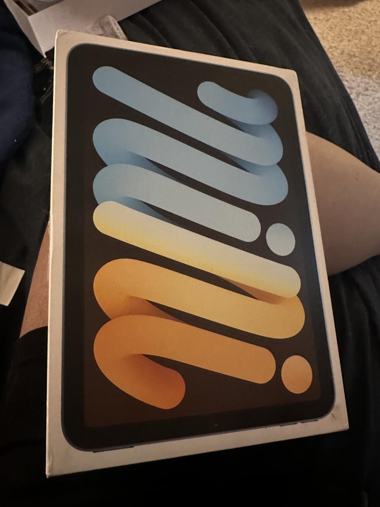 Apple iPad mini (A17 Pro): Apple Intelligence, 8.3-inch Liquid Retina Display, 128GB, Wi-Fi 6E, 12MP Front/12MP Back Camera, Touch ID, All-Day Battery Life - Blue customer photo 1