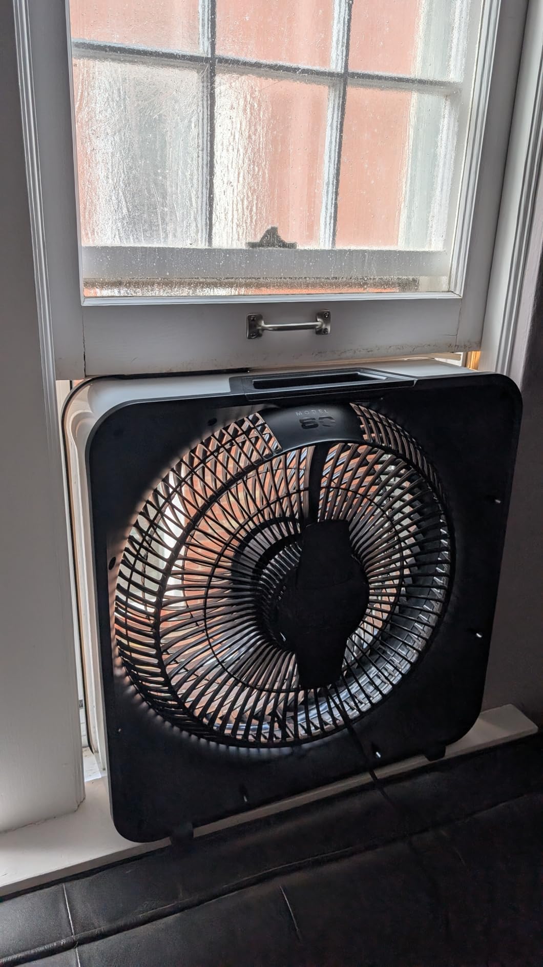 Vornado Model 80 High Velocity Electric Box Fan with Removable Grille, 5 Speed Settings, Powerful Airflow, Whole Room Air Circulation, Targeted Cooling, Ice White customer photo 1