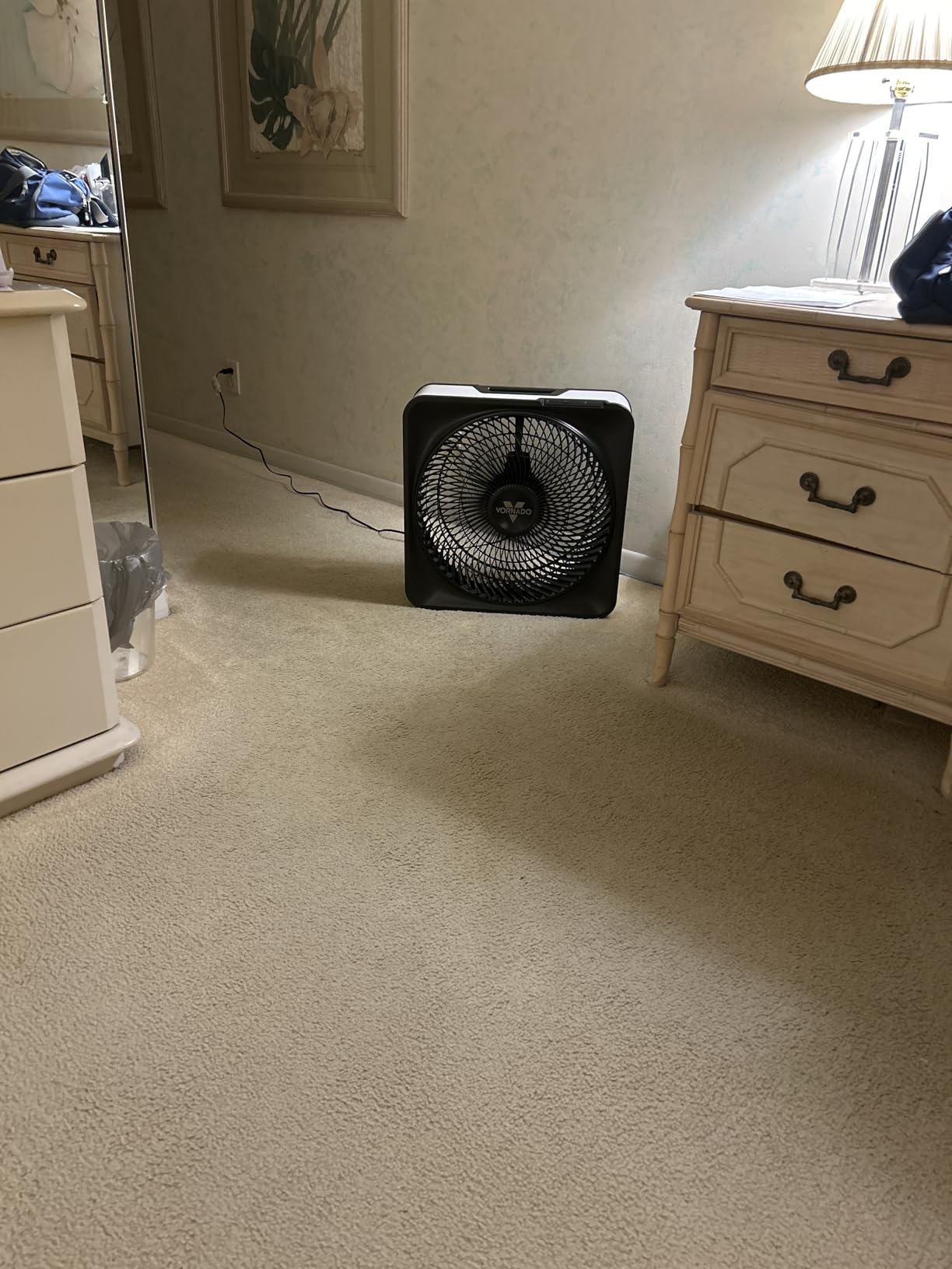 Vornado Model 80 High Velocity Electric Box Fan with Removable Grille, 5 Speed Settings, Powerful Airflow, Whole Room Air Circulation, Targeted Cooling, Ice White customer photo 2