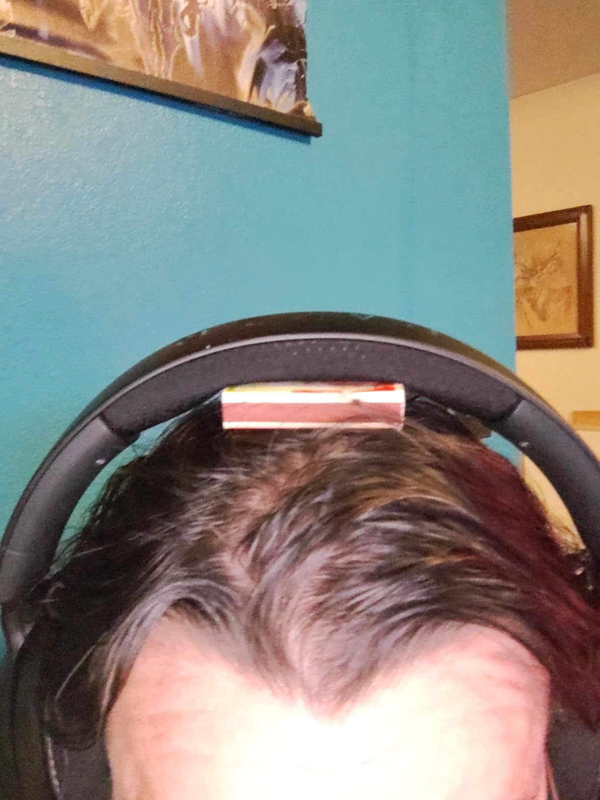 Razer Kraken V4 X Wired Gaming Headset: 40 mm Drivers - Minecraft Edition customer photo 1