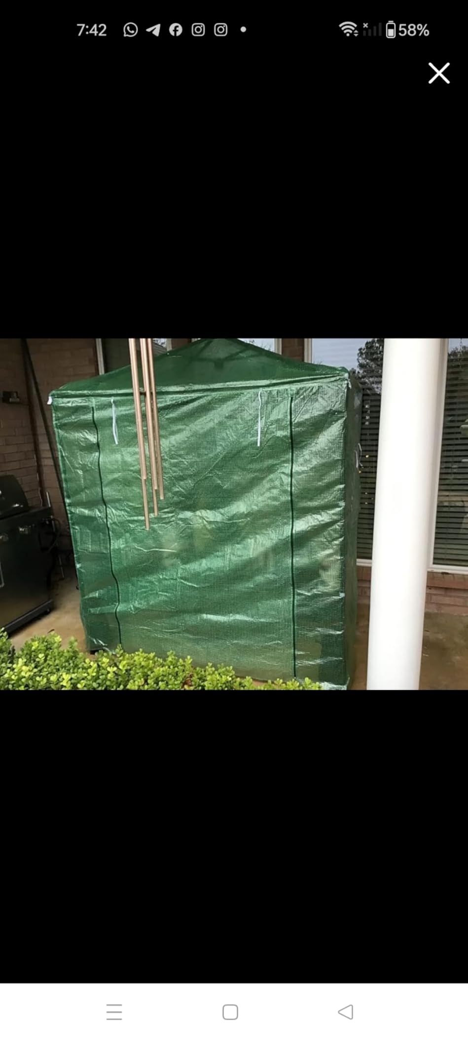 CROWN SHADES 8x6 Walk-in Greenhouse,Pop Up Portable Greenhouse with Center Lock One Push Instant,Outdoor Greenhouse Kit with Roll-Up Door,Mesh Windows&Adjustable Height for Backyard Garden (Green) customer photo 2