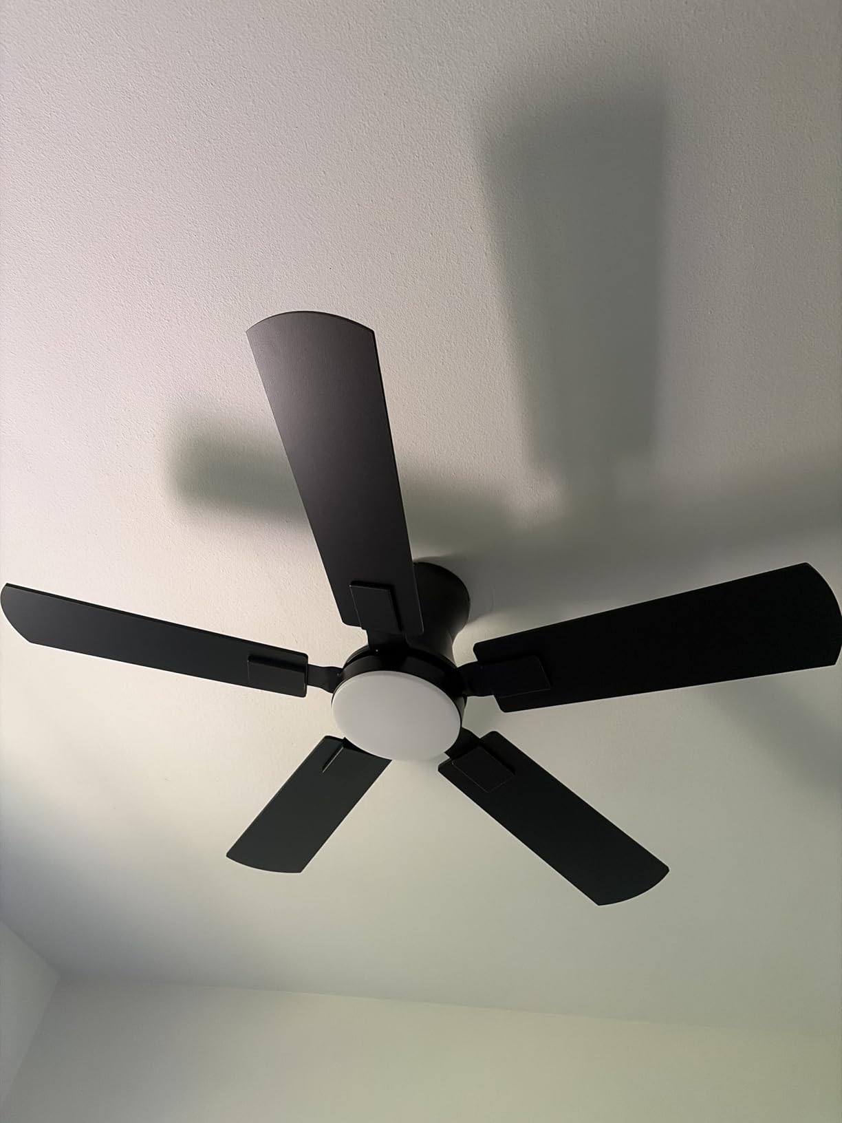 Fanbulous 52 inch ceiling fan with light, Low Profile Ceiling Fan with Light, App&Remote Control, Dimmable LED Light, Flush Mount Ceiling Fan for Indoor Bedroom Living Room, Qiuet DC Motor, Black customer photo 2