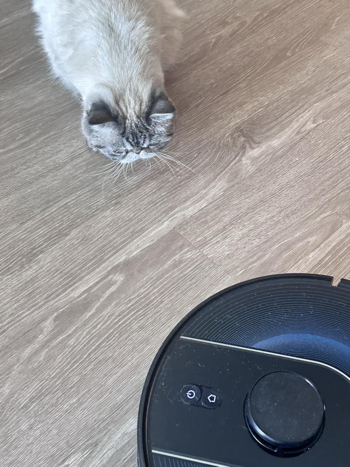Bagotte Robot Vacuum and Mop Combo, 6000Pa Robotic Vacuum with Mapping, Self-Emptying Station for 90 Days Hands-Free Cleaning, LiDAR Navigation, Wi-Fi/App/Alexa Voice Control customer photo 1