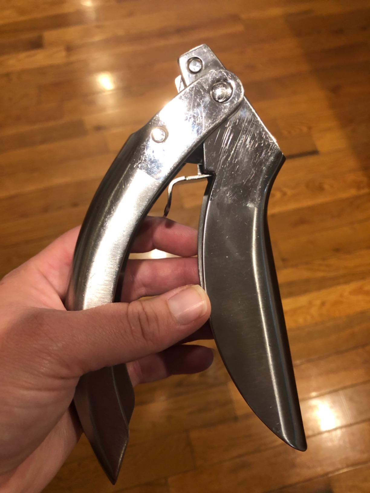 Kuhn Rikon Epicurean Garlic Press, Stainless Steel, Silver customer photo 2