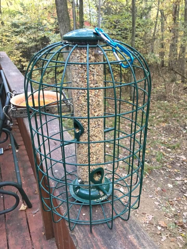 Audubon Squirrel Proof Caged Tube Feeder customer photo 2