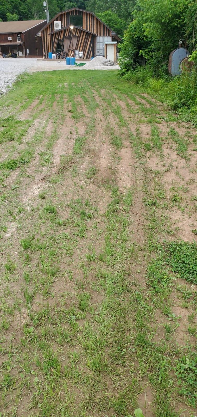 Scotts Turf Builder EdgeGuard DLX Broadcast Spreader for Seed, Fertilizer, Salt, Ice Melt, Holds up to 15,000 sq.ft. customer photo 2