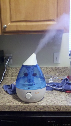 Crane Ultrasonic Cool Mist Humidifier for Bedroom, Baby Nursery, Kids Room, Plants, or Office, Large 1 Gallon Tank, Filter Optional, White customer photo 2