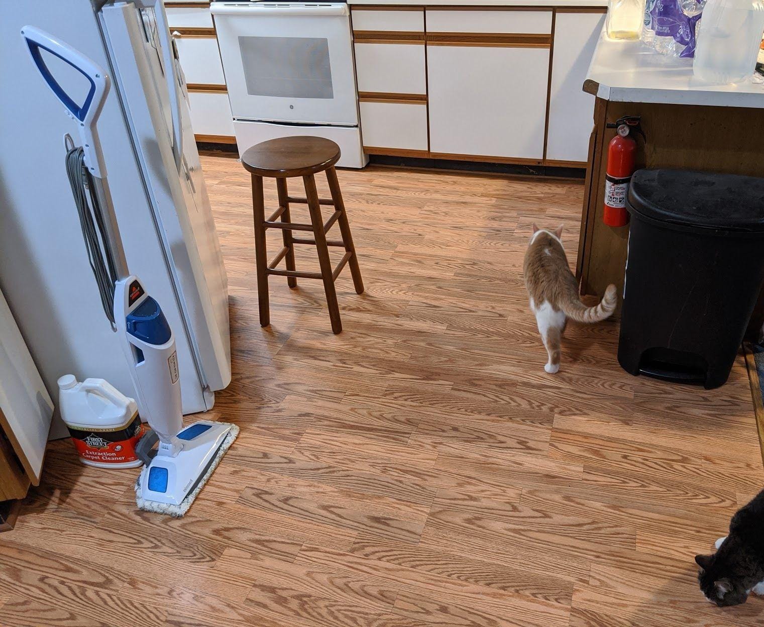 BISSELL Steam Mop 1940A PowerFresh Floor Steam Cleaner for Hard Wood & Tile with Natural Sanitization, Easy Scrubber, Variable Steam, 12