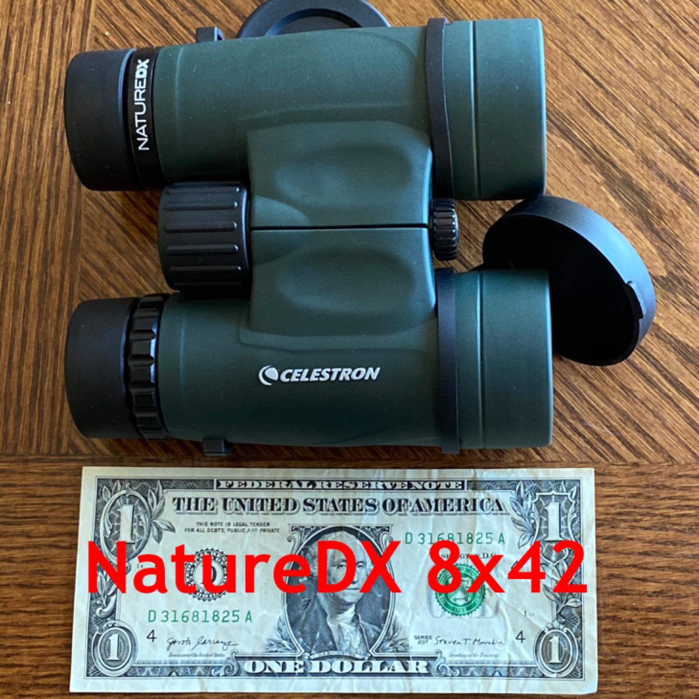 Celestron Nature DX 8x42 Waterproof Binoculars for Bird Watching & Outdoors | Phase-Coated BaK-4 Prisms, Bright Fully Multi-Coated Optics, 42mm Objective Lenses, Durable Rubber Armor, Outdoor & Nature Viewing customer photo 1