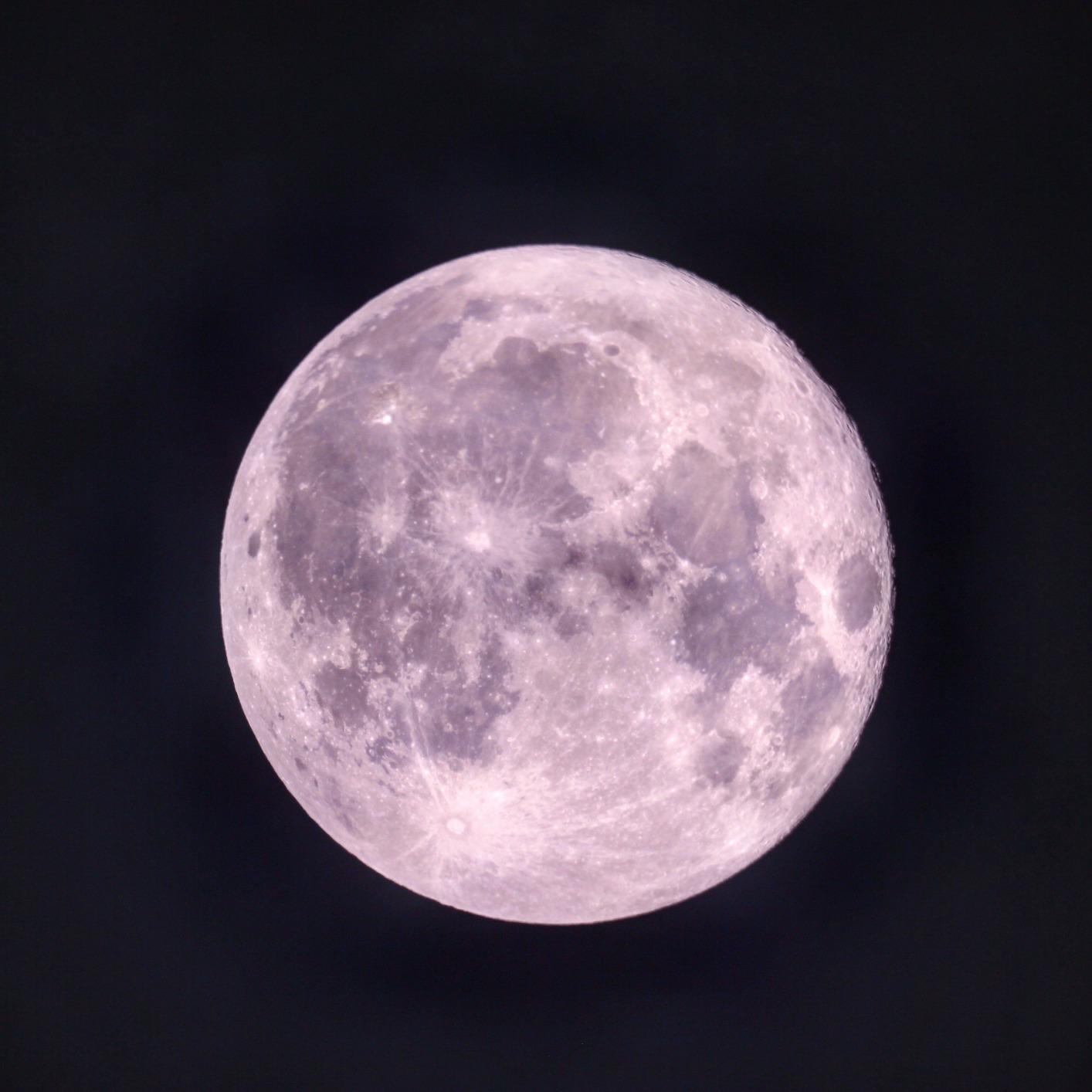 Celestron Advanced VX 8