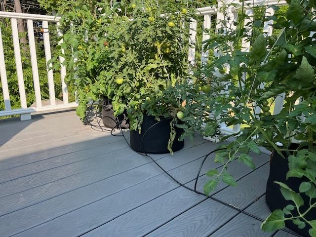 Raindrip R560DP Drip Watering System, Automatic Drip Irrigation System with Timer for Containers and Hanging Baskets, Waters up to 20 Plants, Includes 20 Drippers, Black customer photo 1