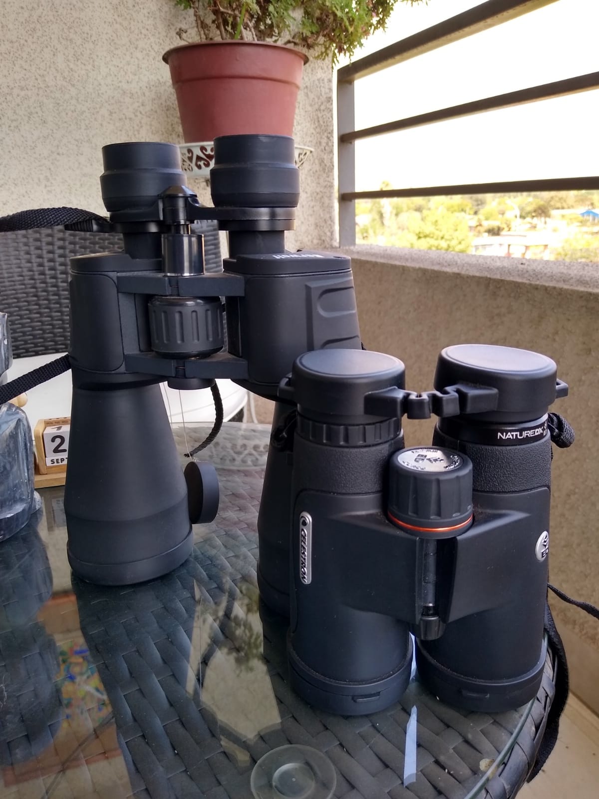 Celestron Nature DX ED 8x42 Premium Waterproof Birding Binoculars | ED Glass for True-to-Life Color, Fully Multi-Coated Optics & Phase Coated BaK-4 Prism, Sharp Edge-to-Edge Views, Waterproof customer photo 1