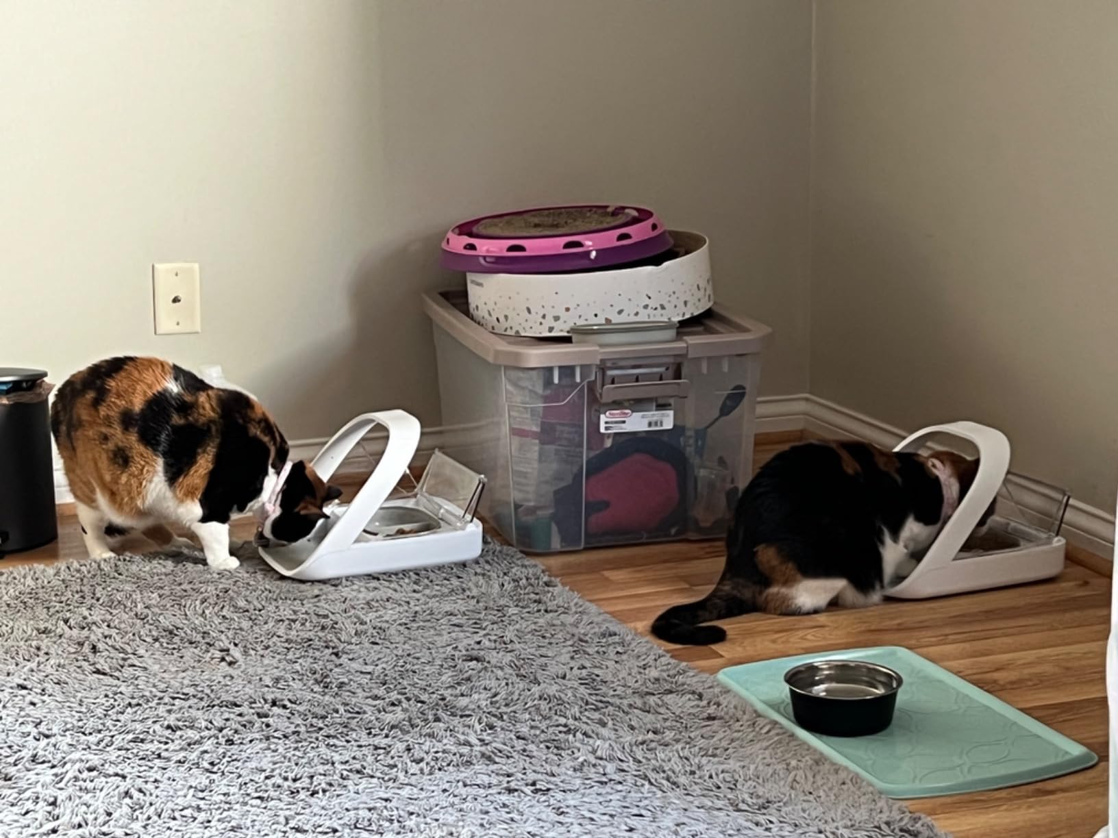 Sure Petcare -SureFlap - SureFeed - Microchip Pet Feeder - Selective-Automatic Pet Feeder Makes Meal Times Stress-Free, Suitable for Both Wet and Dry Food - MPF001 customer photo 1