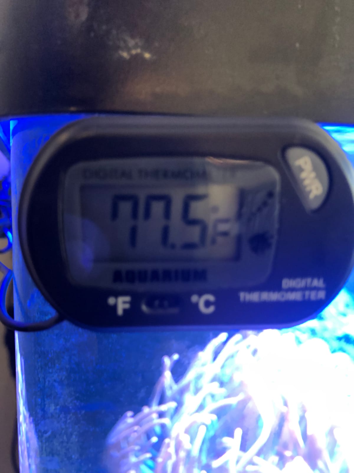 Aqueon Aquarium Fish Tank Preset Heater for Up to 30 Gallons, 100 Watts customer photo 1