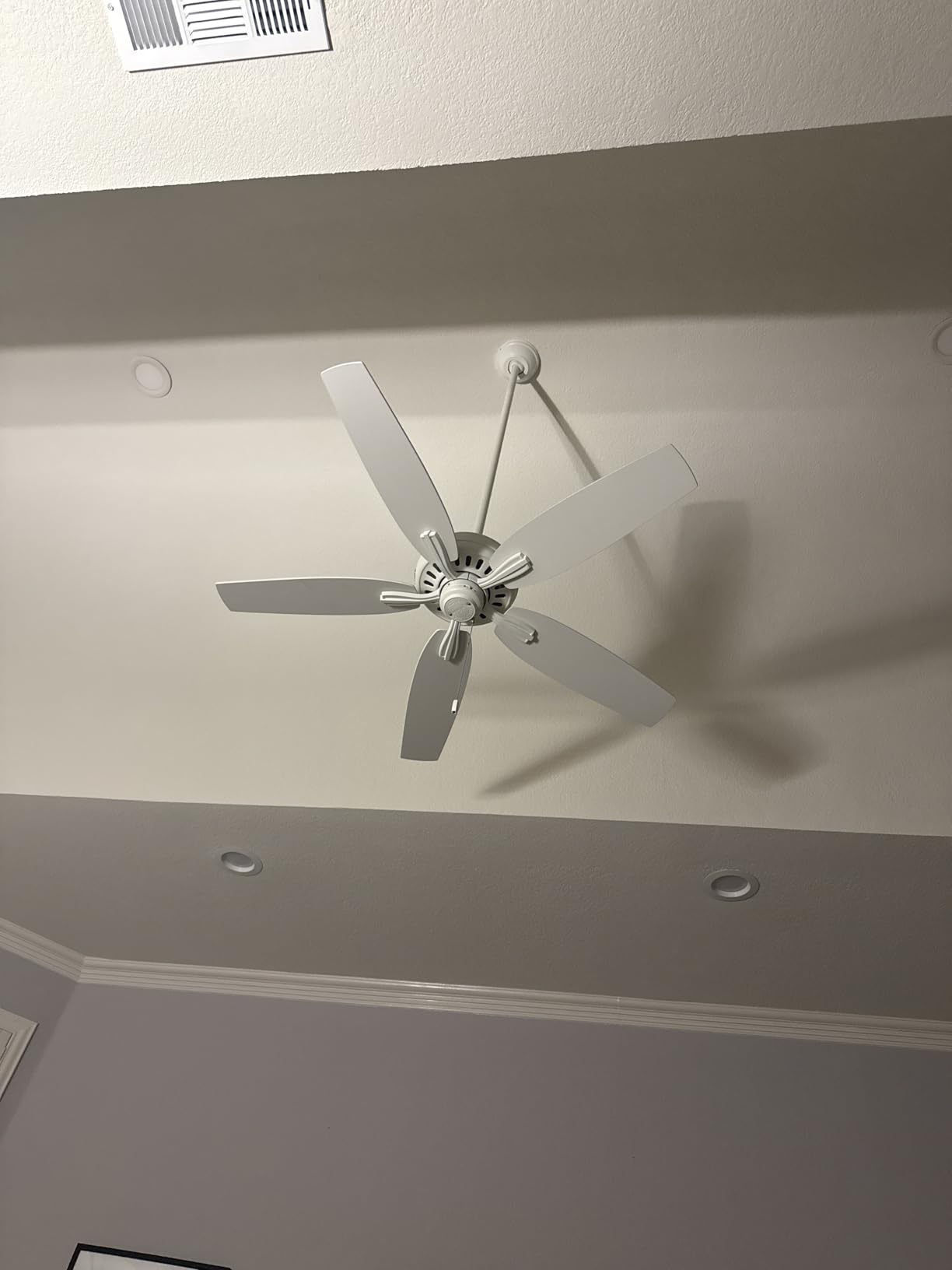 Hunter Newsome, Outdoor or Indoor, Ceiling Fan, 52 inch, Matte Black | No Light, Standard Mount, Pull Chain, 5 Blades, For Living Room, Patio, Porch, Garage, 53324 customer photo 1
