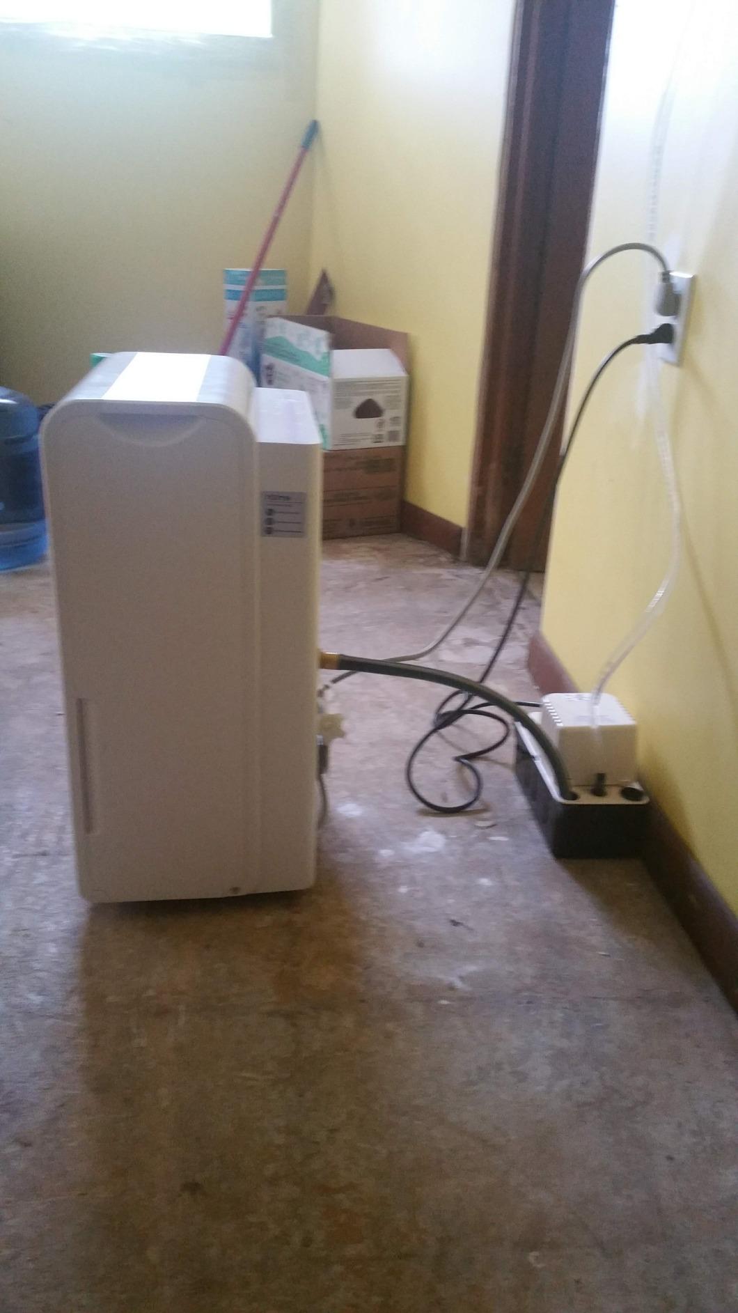 hOmeLabs Dehumidifier 7,000 Sq Ft 50 Pint (MAX 120 Pint at 95°F, 90% RH) | WIFI + Upgraded Advanced Humidity & Moisture Control, Quiet, Efficient, Auto Shut-off, Ideal for Home, Basement, Office customer photo 1