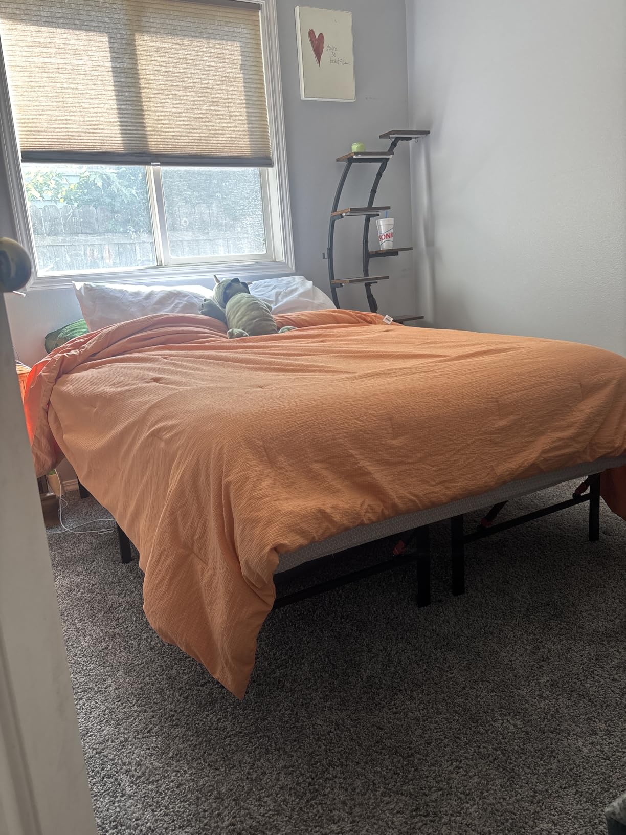 Amazon Basics Bed Frame with Ample Underbed Storage, Foldable Metal Platform, Sturdy Steel, No Box Spring Needed, 14 inches High, Noise-Free Support, Easy Assembly Tool-Free Setup, Full Size, Black customer photo 1