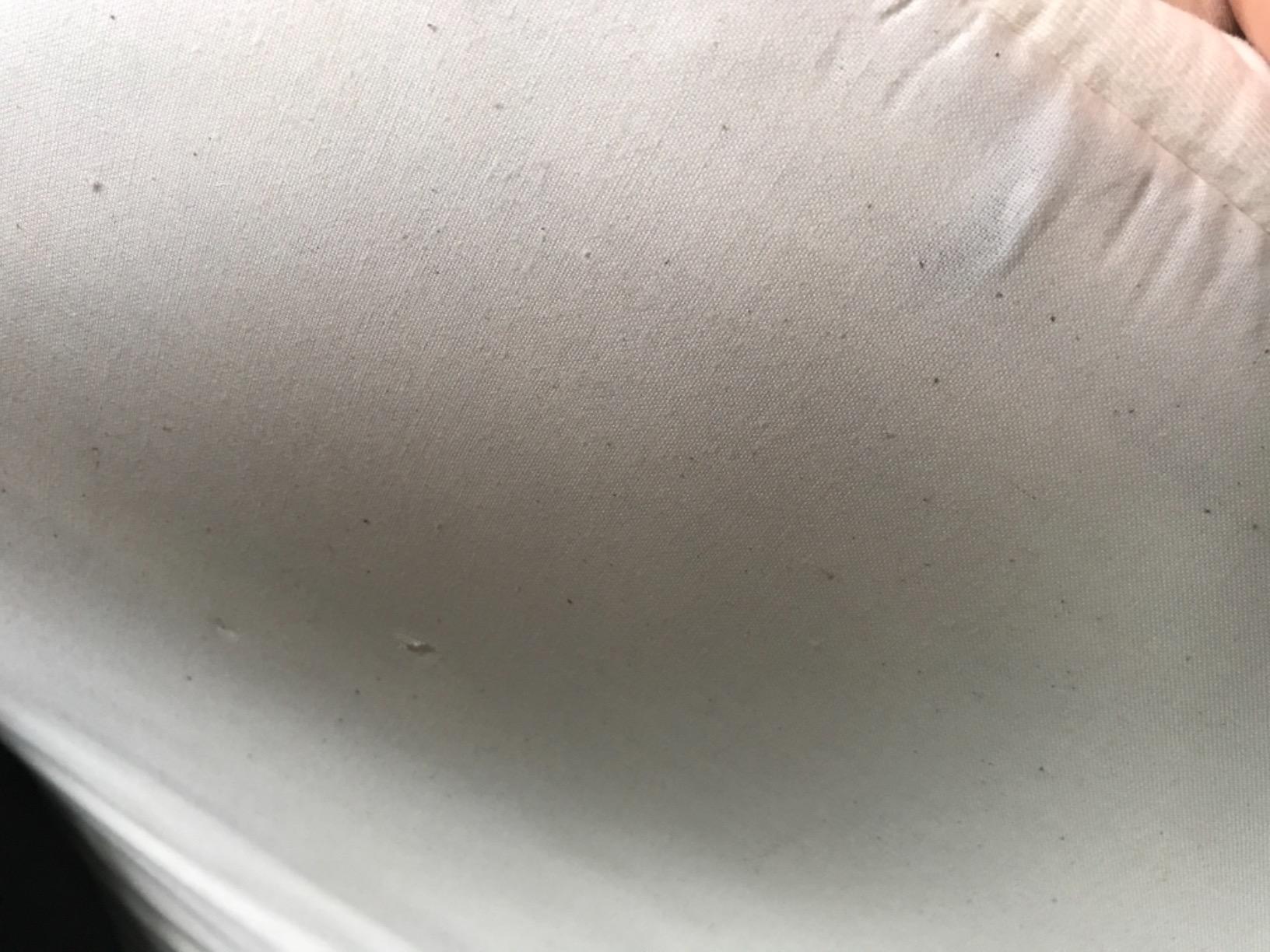Happsy Organic Hybrid Mattress - Natural Latex - Medium Firm Mattress with Encased Coil Layers for Universal Comfort - Bed-in-a-Box - Queen customer photo 1