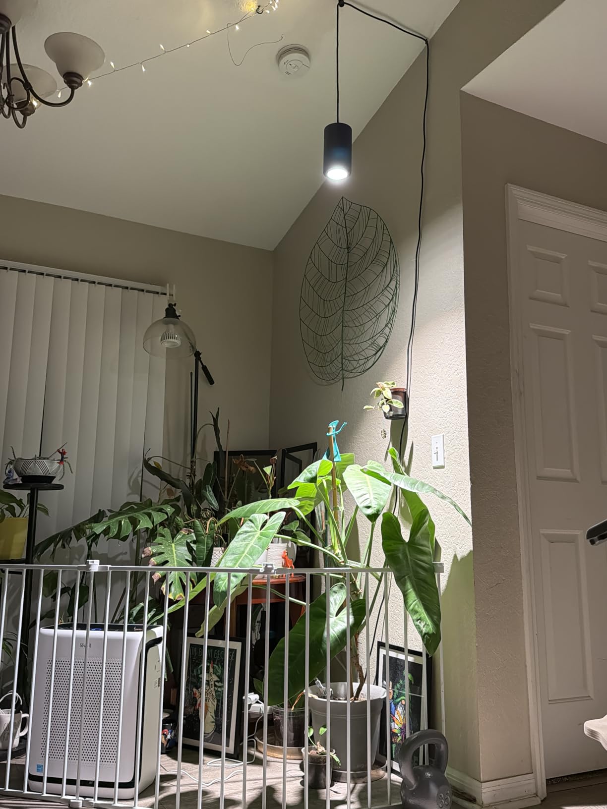 Aspect Soltech Gen 2 - World's First Decor Grow Light | White High-Output LED Pendant Grow Light for Indoor Plants | Warm White, Natural Light | Dimmable customer photo 1