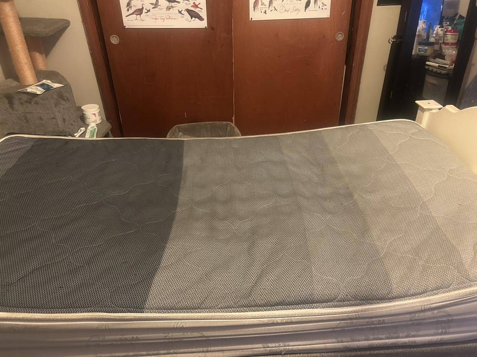 Niagara Sleep Solution Ultra Soft & Cooling Mattress Topper - Queen Size | Rayon Derived from Bamboo, Pillow Top Mattress Pad customer photo 2