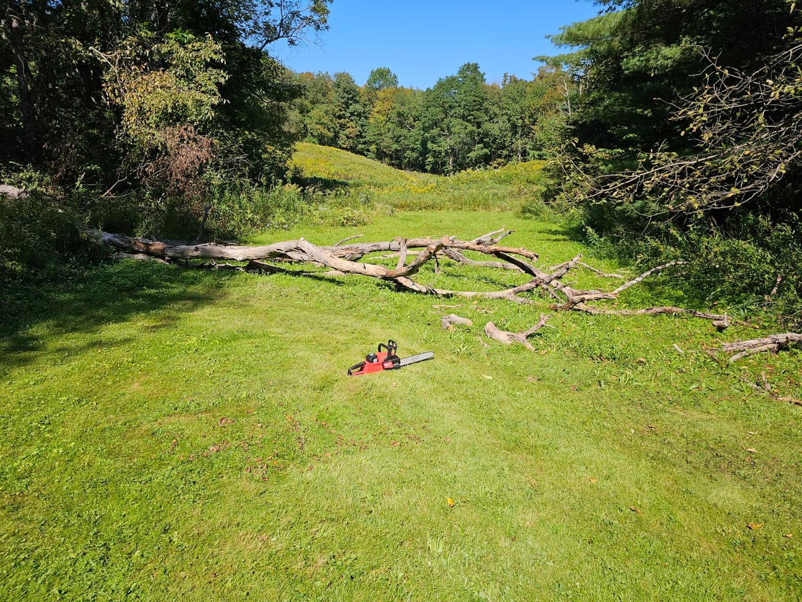 Milwaukee 2727-20 M18 FUEL 16 in. Chainsaw Tool Only - Battery and Charger NOT Included customer photo 2